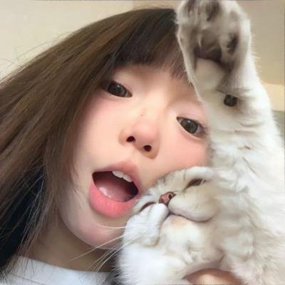 夏尔巴 海报